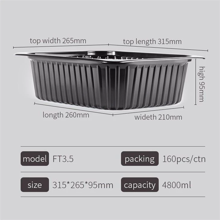 Disposable PP Plastic Big Hot Food Tray
