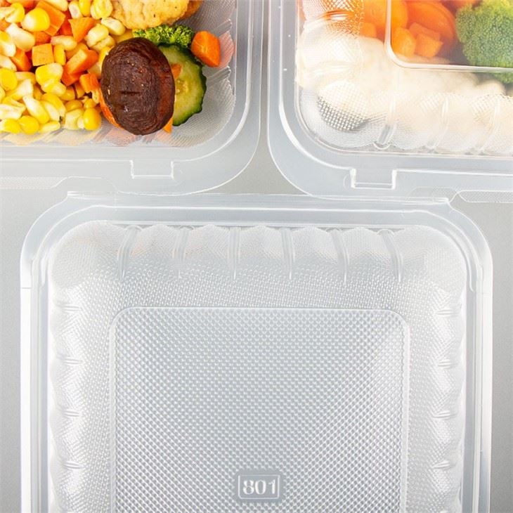Clear Plastic Food Container