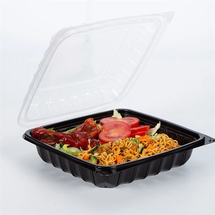 Disposable Containers
