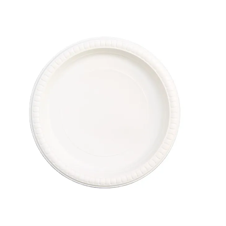 Izjemno udobje, odkrijte našo ponudbo okroglih pladnjev za enkratno uporabo za naporne dni