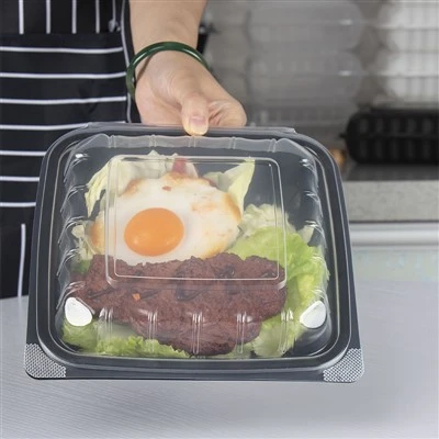 Deli Container Shranjevanje hrane