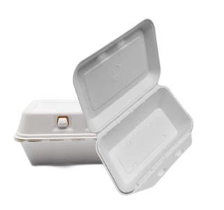 V   Pojdi   kontejnerji   Bagasse