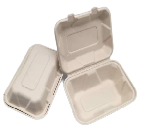 Zabojniki za enkratno uporabo Bagasse